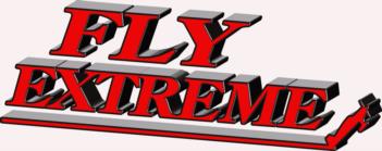3 Dimensional Fly Extreme - red rc digital decal